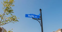 8 Daylily Lane