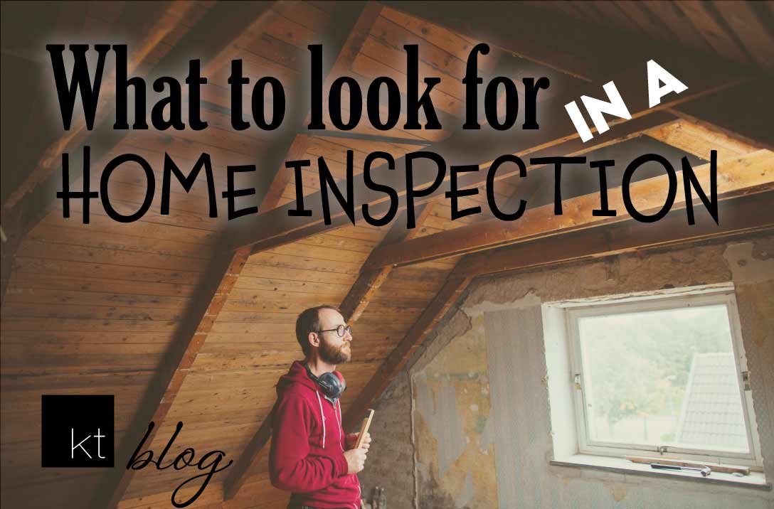 A man inspecting an attic