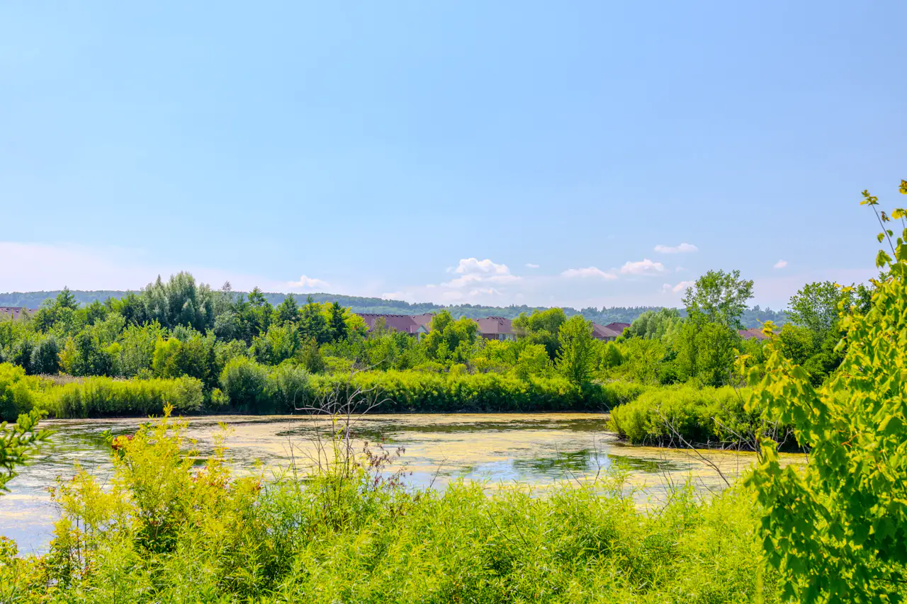 Drone shot of a storm water management pond in Milton's Scott neighbourhood