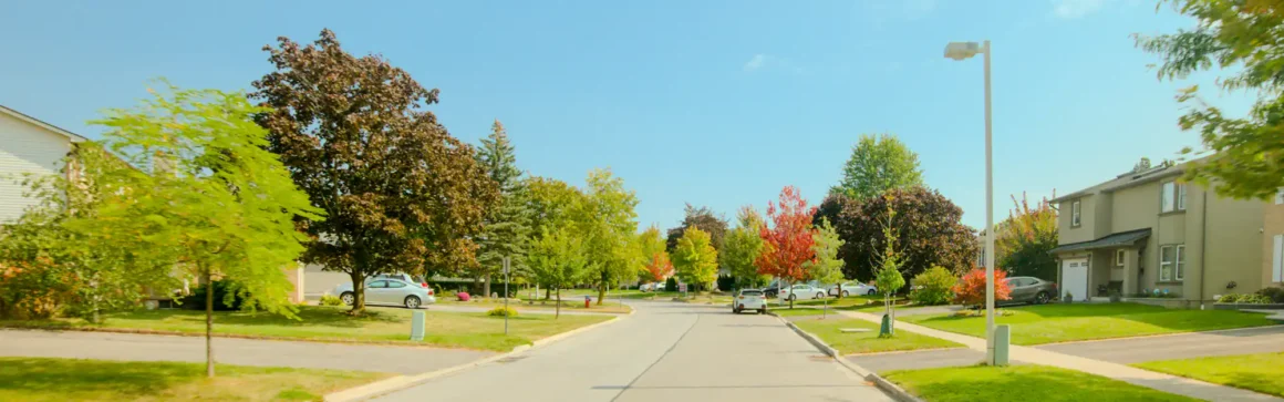 Milton's Timberlea neighbourhood